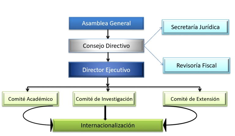 estructura de RedNicol