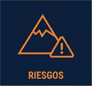RIESGOS VIII CONGRESO REDNICOL